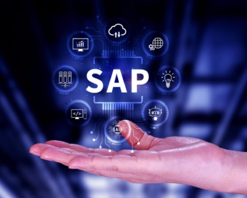 SAP Consulting & Support Services